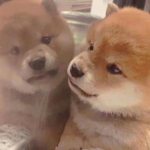 1000部又爽又黄禁片45分钟
